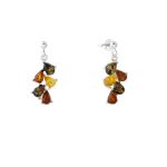 Kolczyki delikatne w 3 kolorach bursztynu.